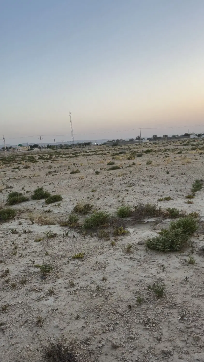 زمین منصور آباد