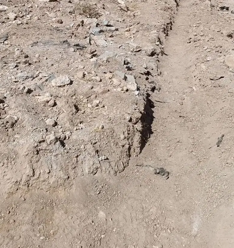 زمین باغی زمین باغچه
