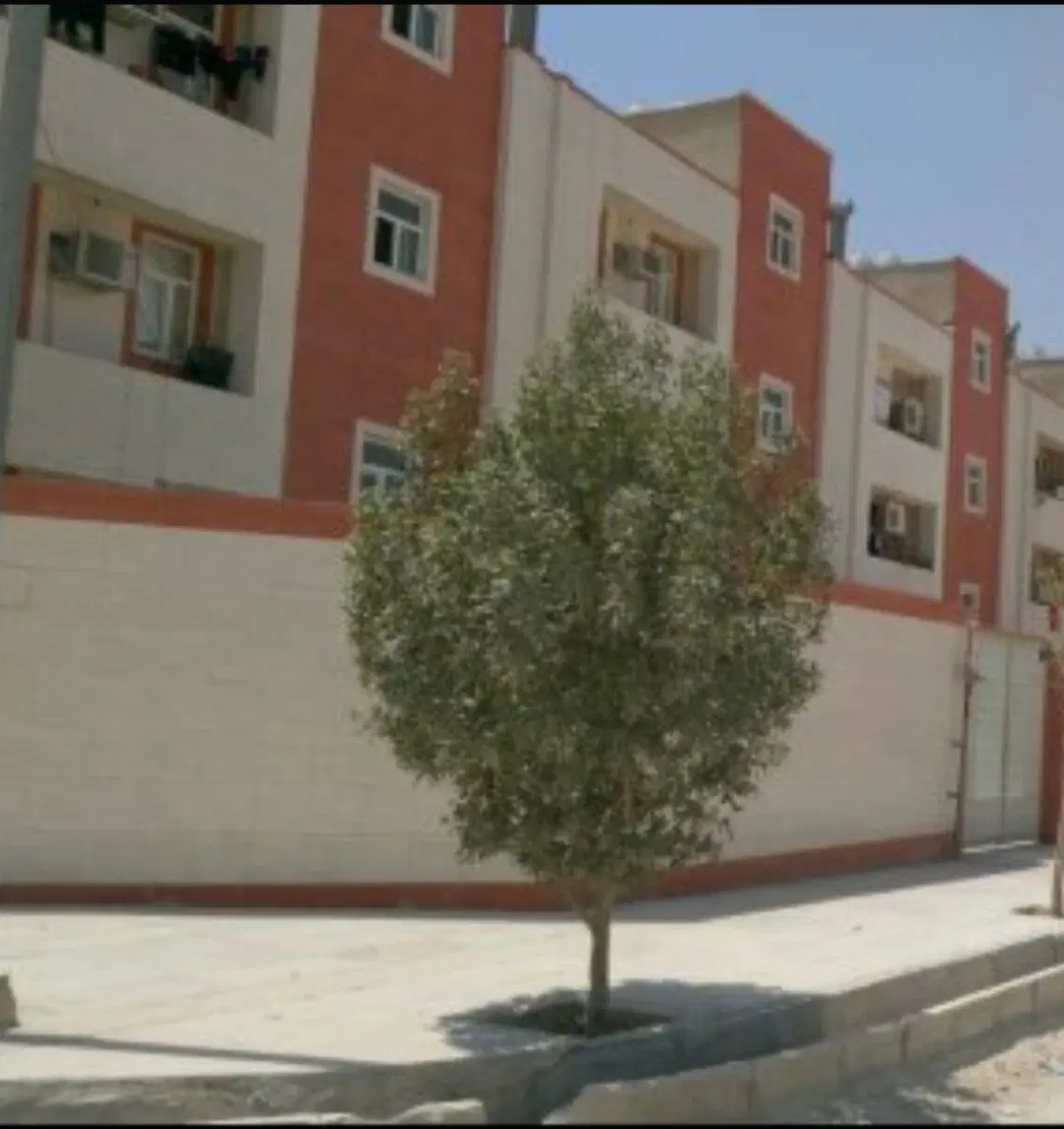 اجاره آپارتمان بسیجیان