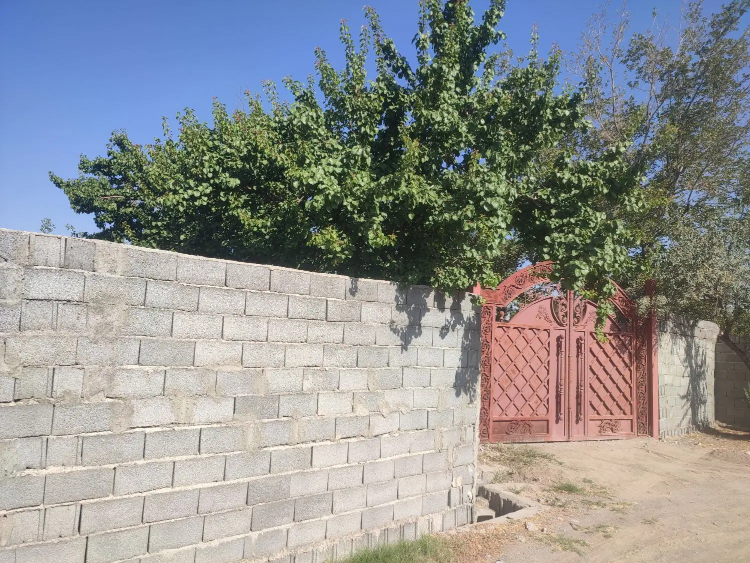 باغ خسروشاه