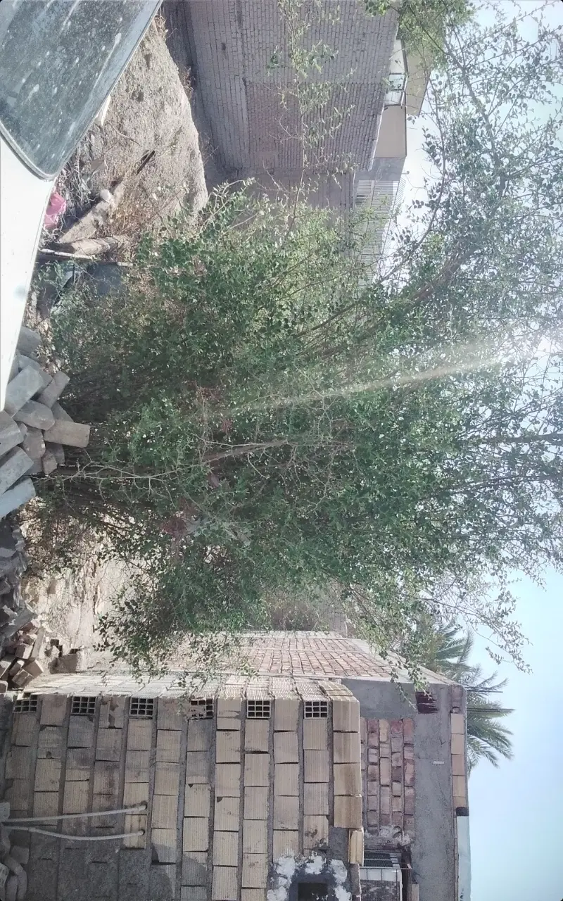 زمین فروشی