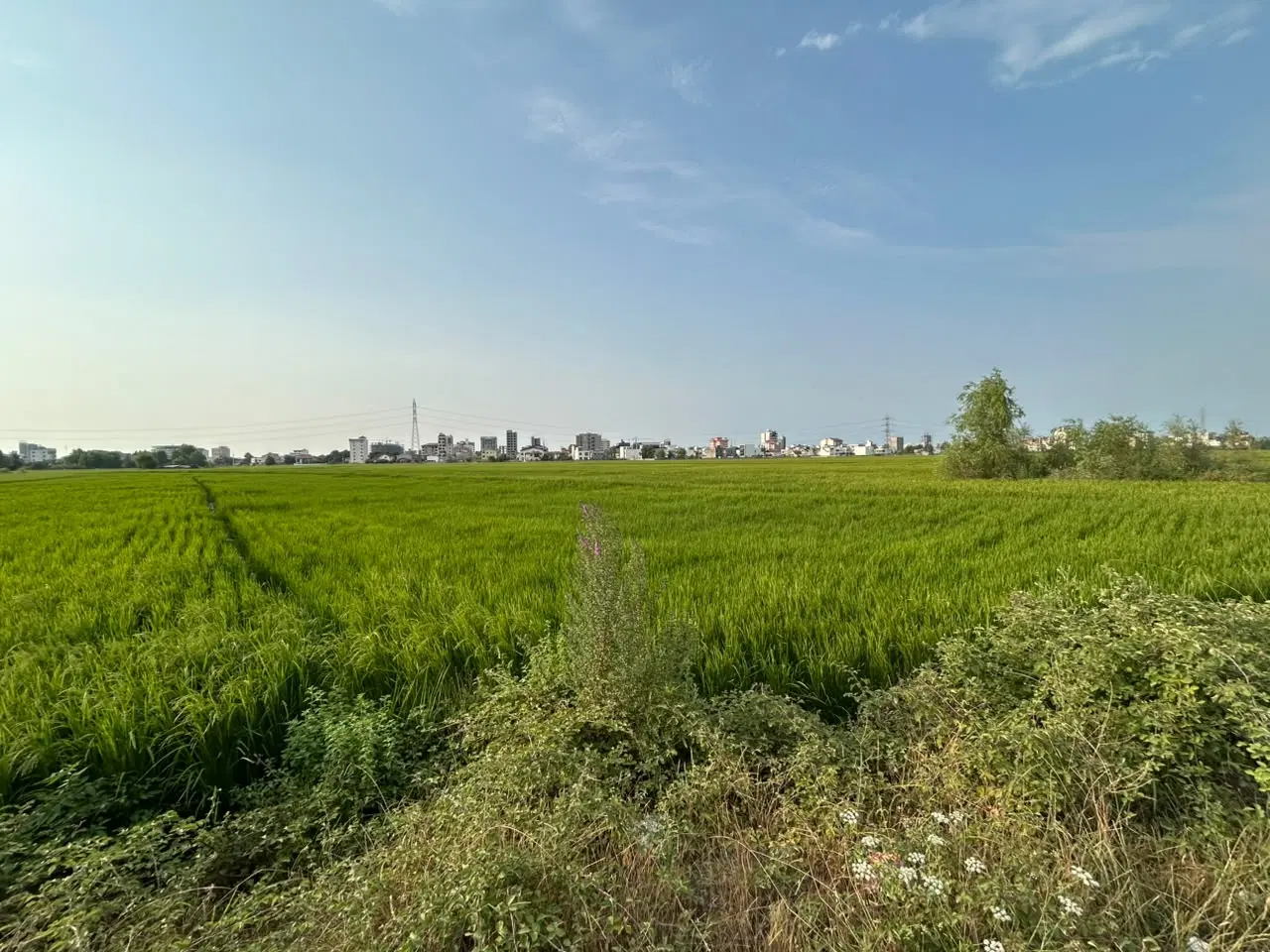 فروش زمین زراعی