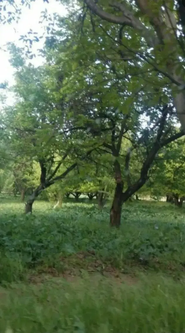 باغچه و ساختمان ۴۰۰۰ متر