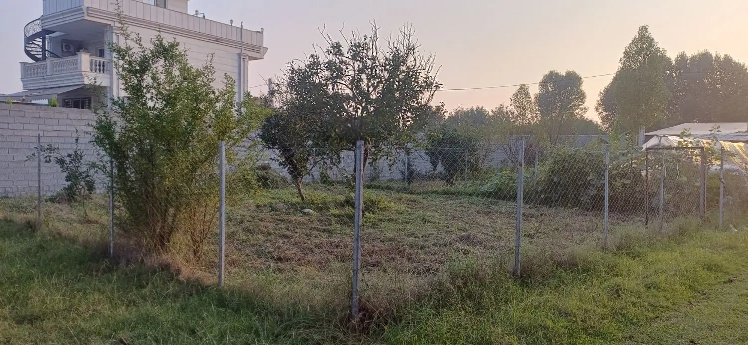 زمین باغی قادیکلای بزرگ