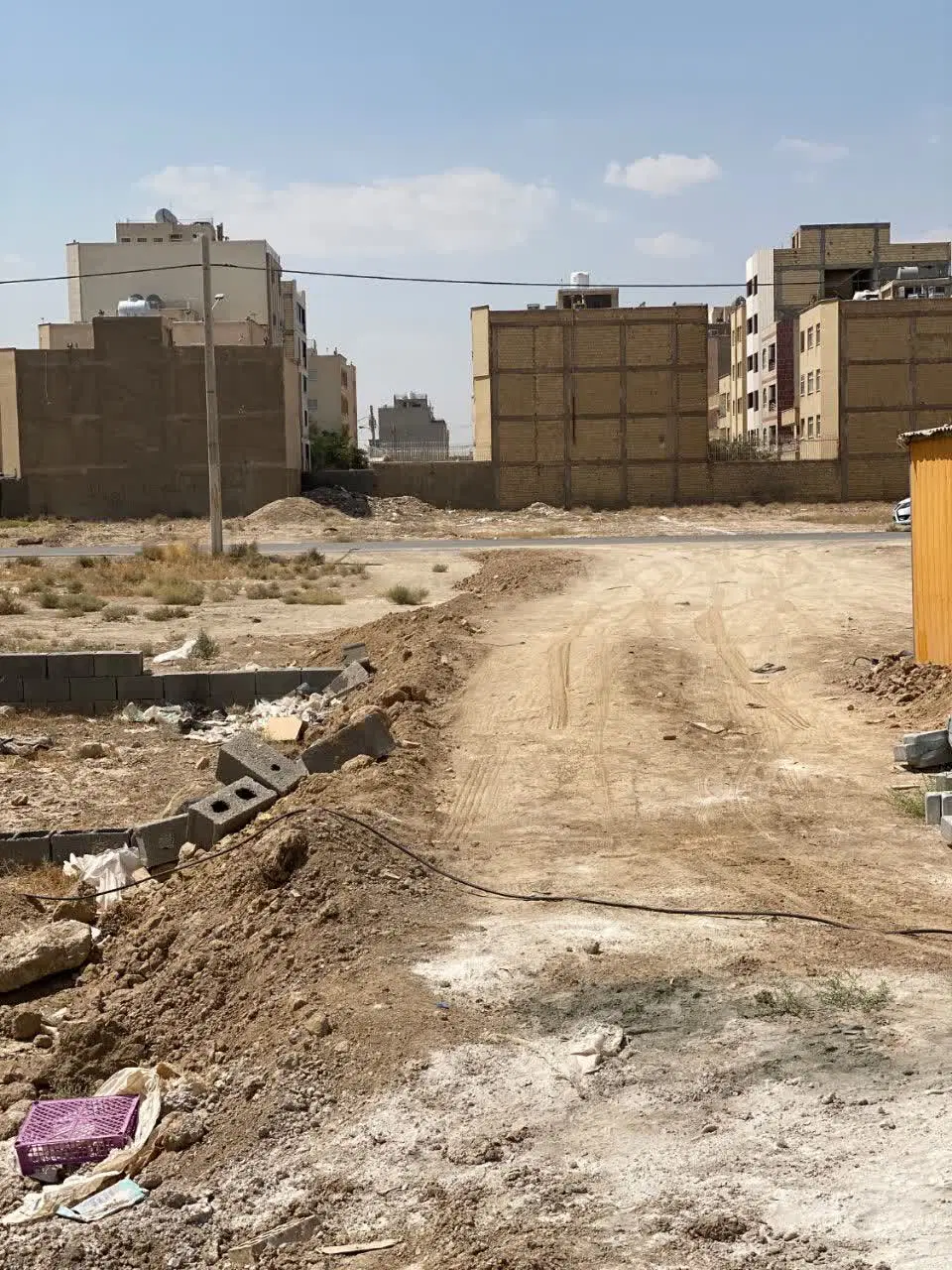 زمین گل نرگس شمالی استثنایی