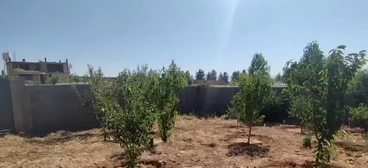 باغ کودیان با دیوار درب باغی
