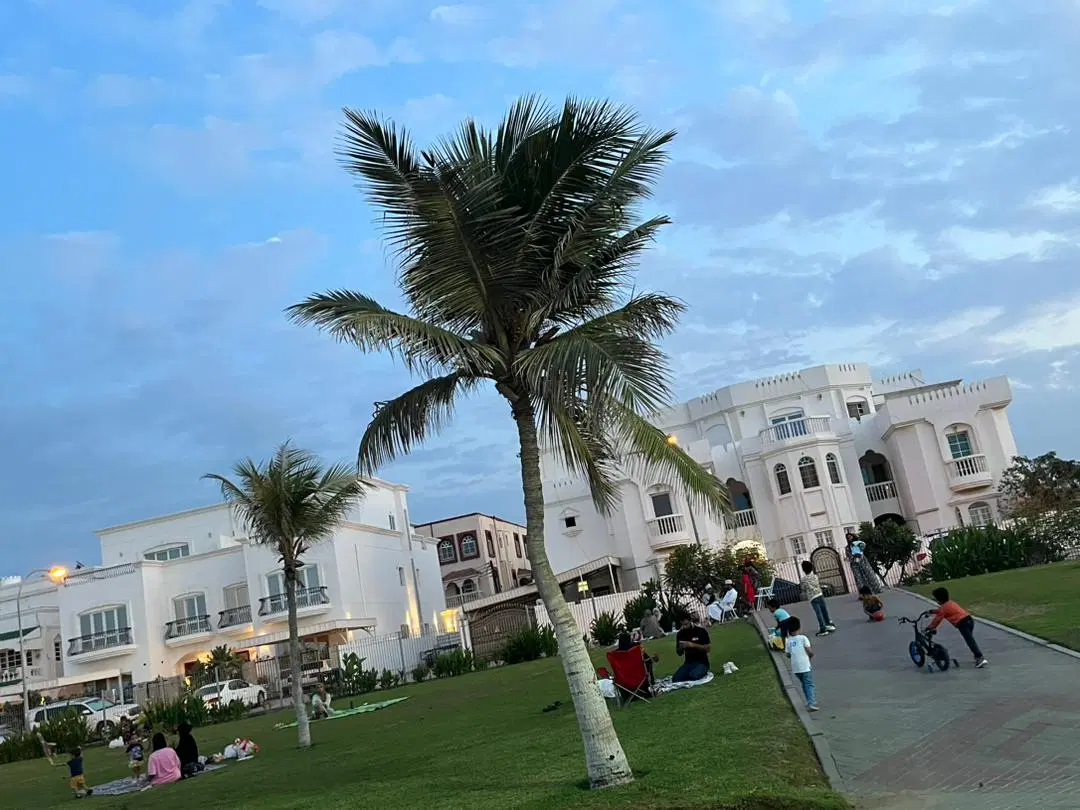 زمین فروشی ۱۳ قصب