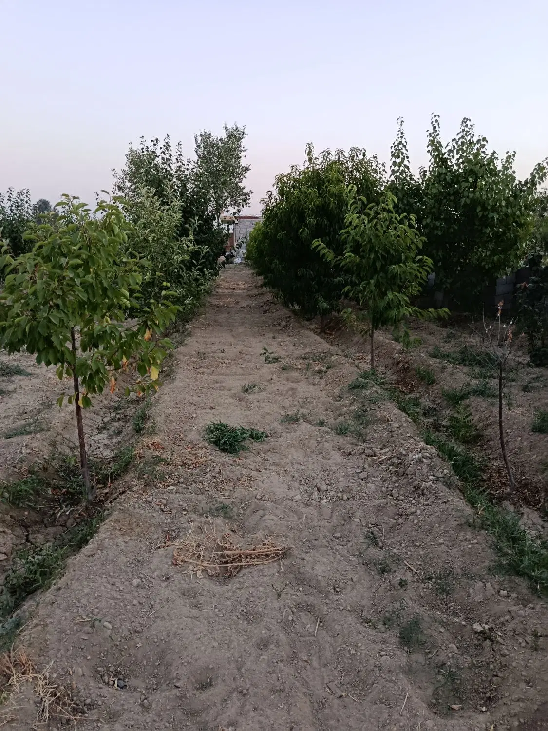 باغچه ویلایی ۲ نبش