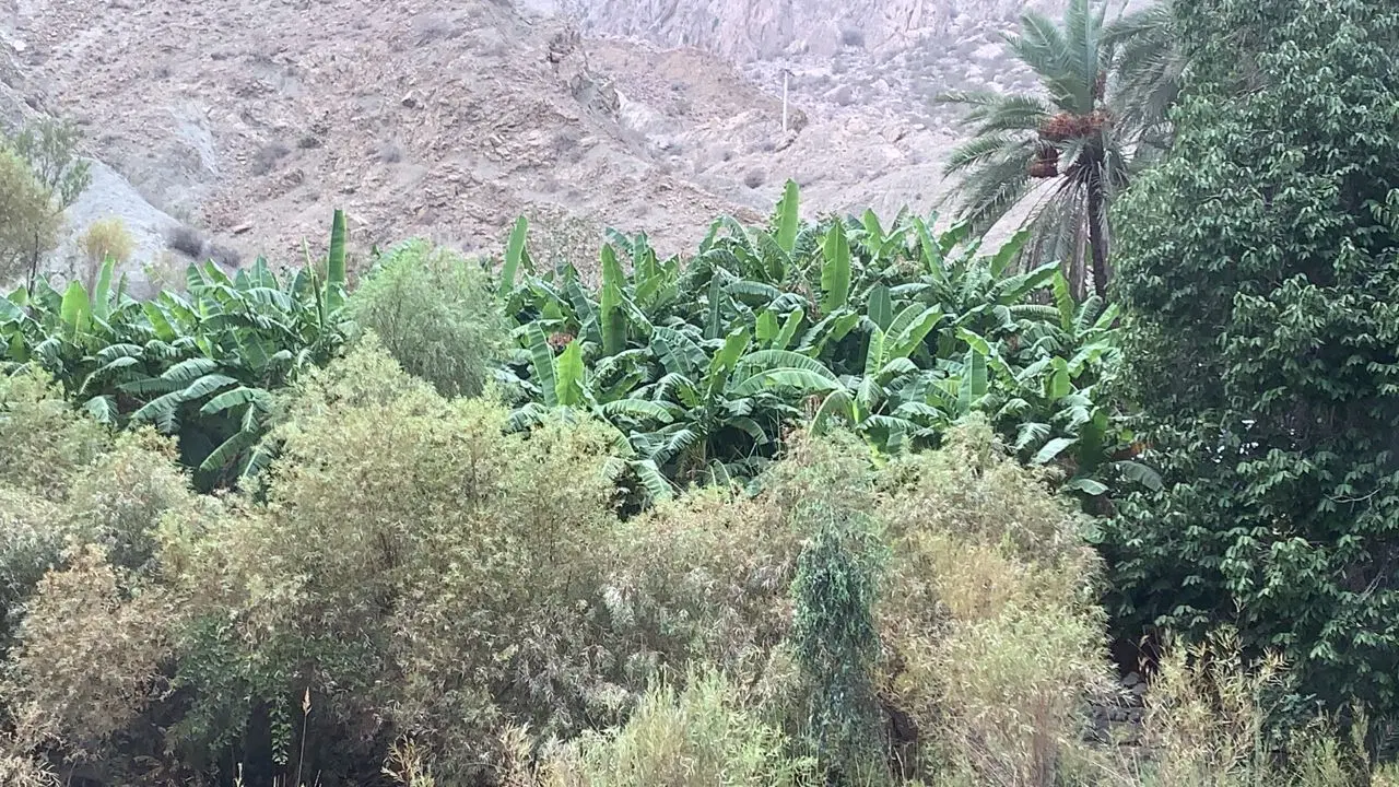 زمین مسکونی کولغان محل مهر اباد