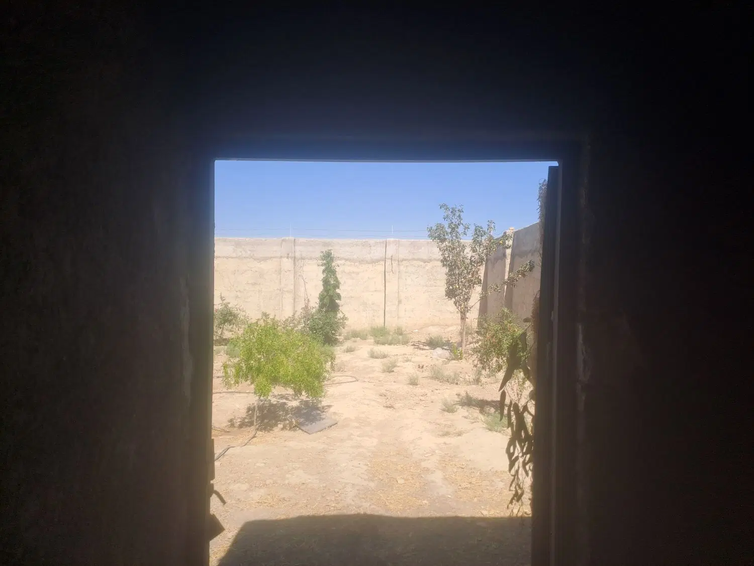 فروش باغ ۴۰۰متری