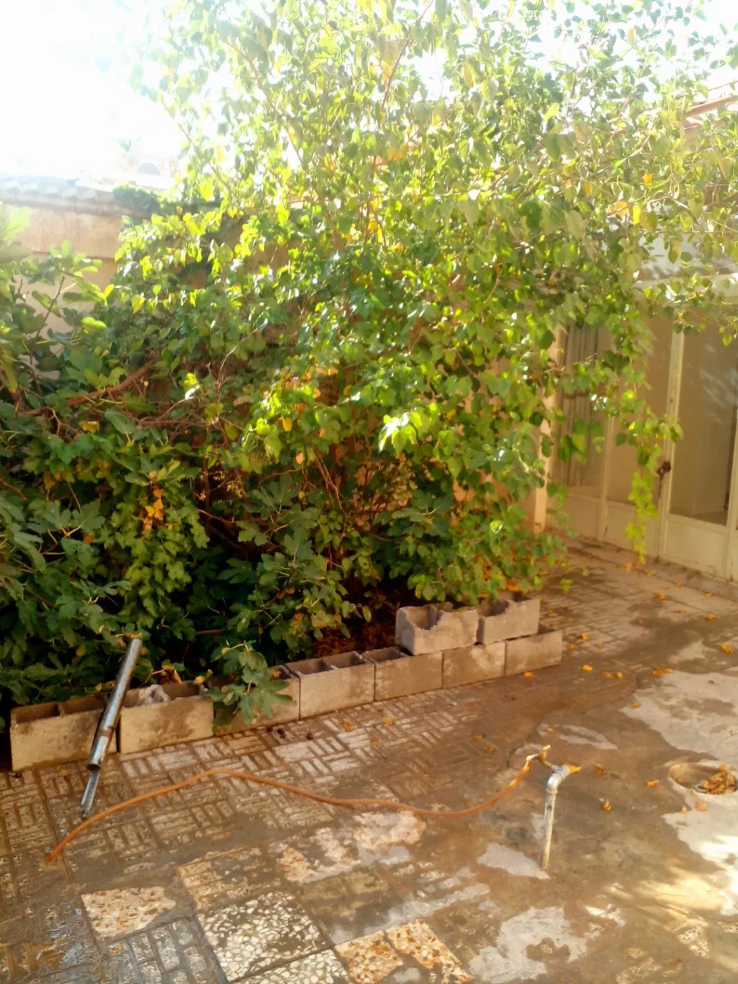 فروش واجاره منزل خشت وگلی
