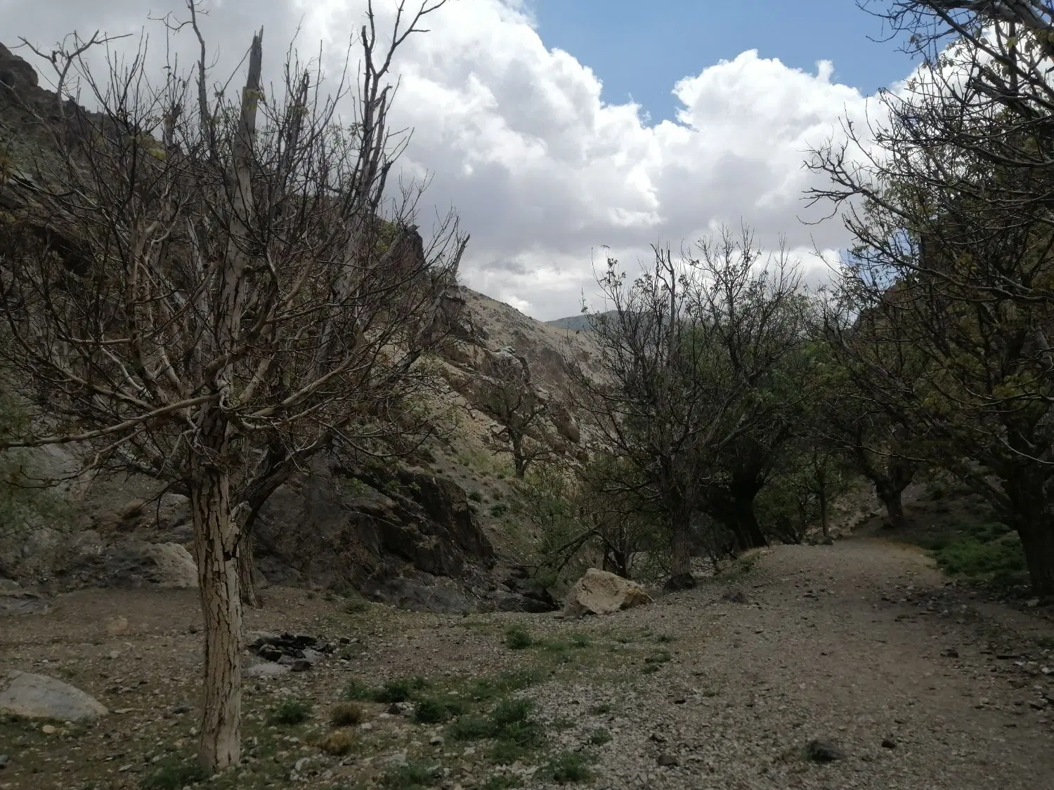 زمین مسکونی با پروانه