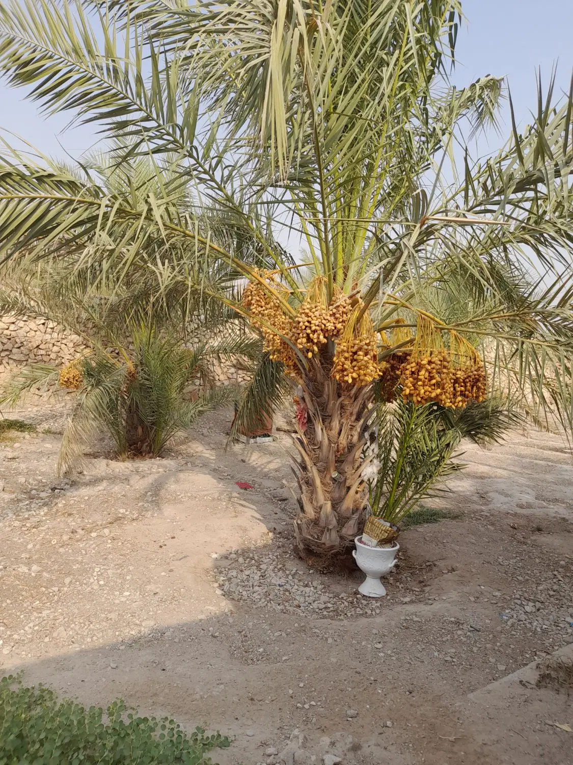خانه ویلایی