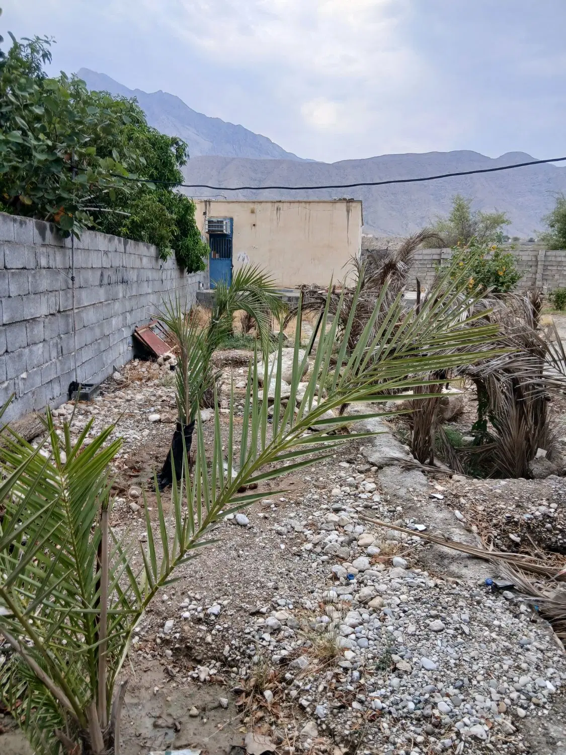 خانه باغ سیاهو. تل گردو