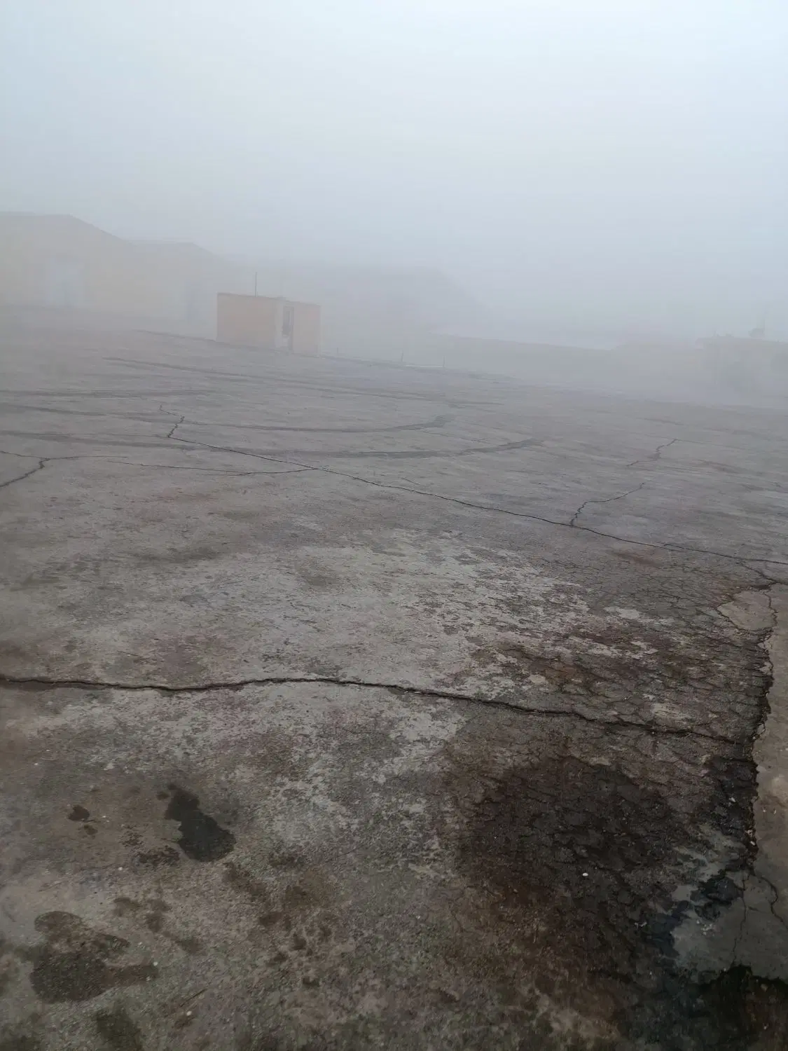 زمین دانشگاه