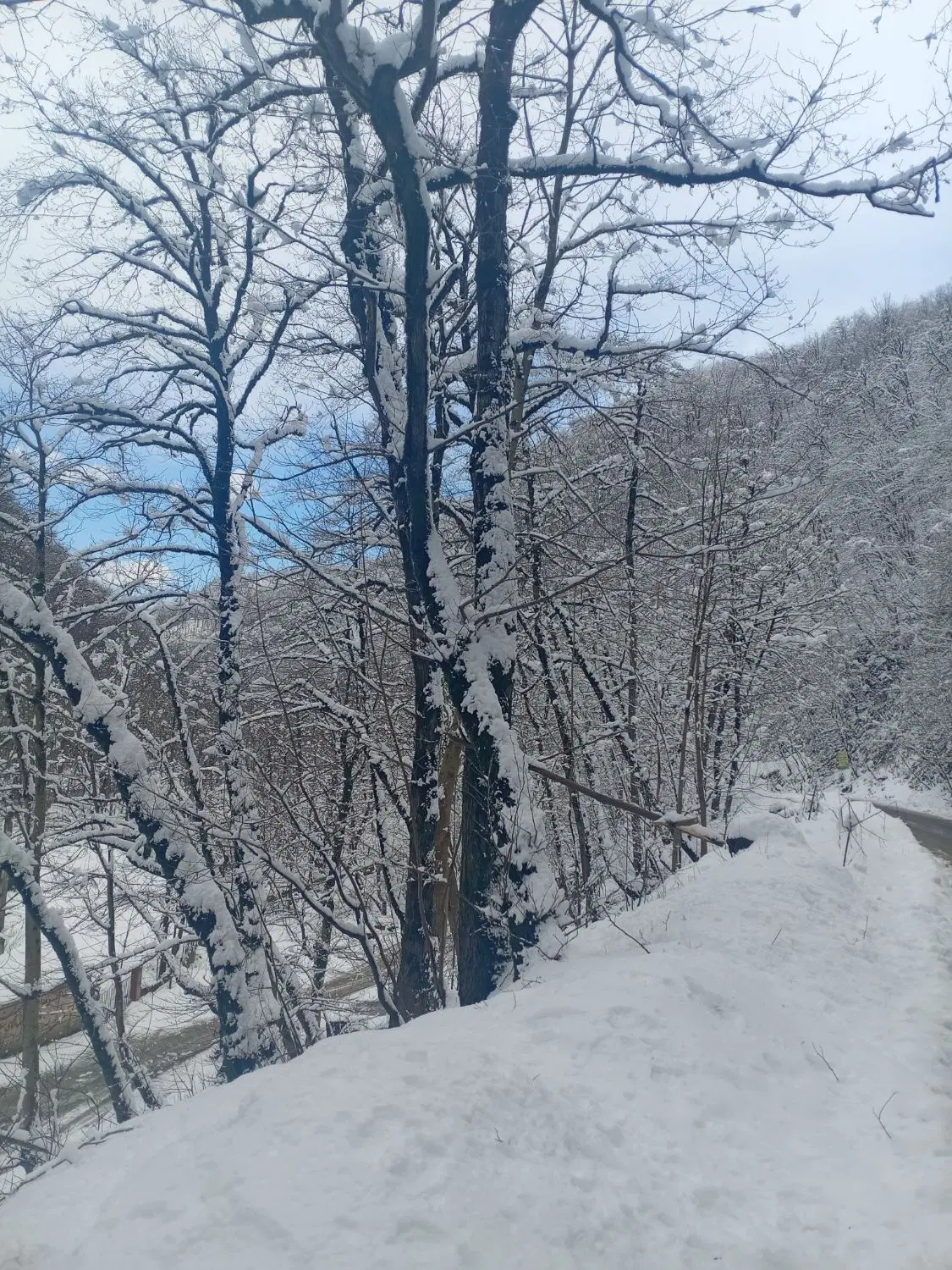 زمین اصفهانک محله چریان