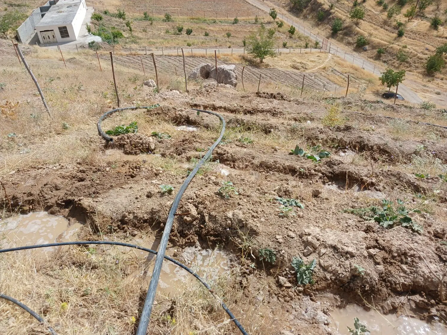 زمین شیبدار مخصوص باغ ویلا