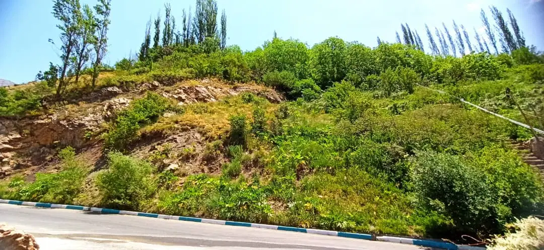 زمین ۲۰۰۰ متری فروش معاوضه تهاتر