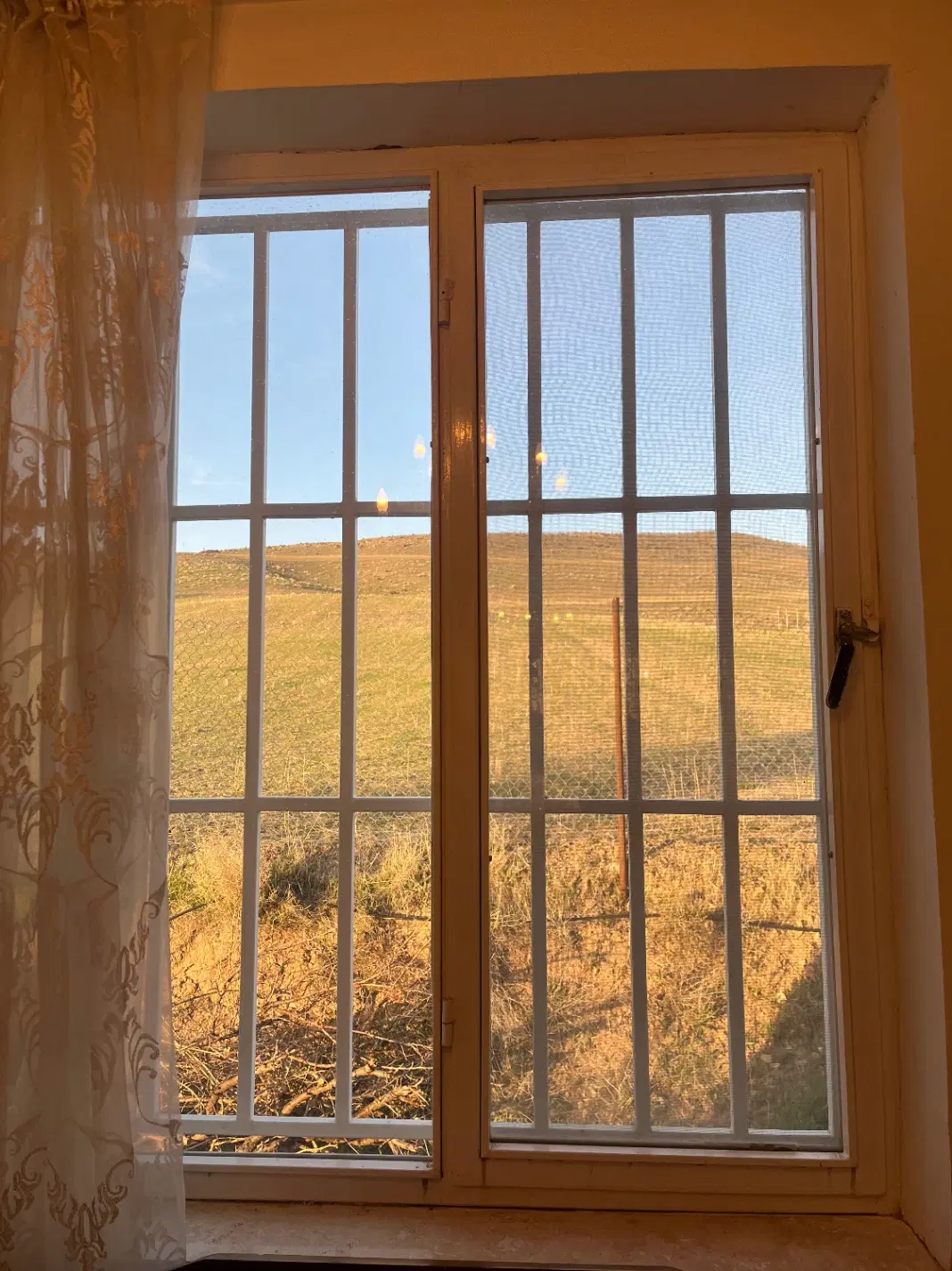 باغ ویلا