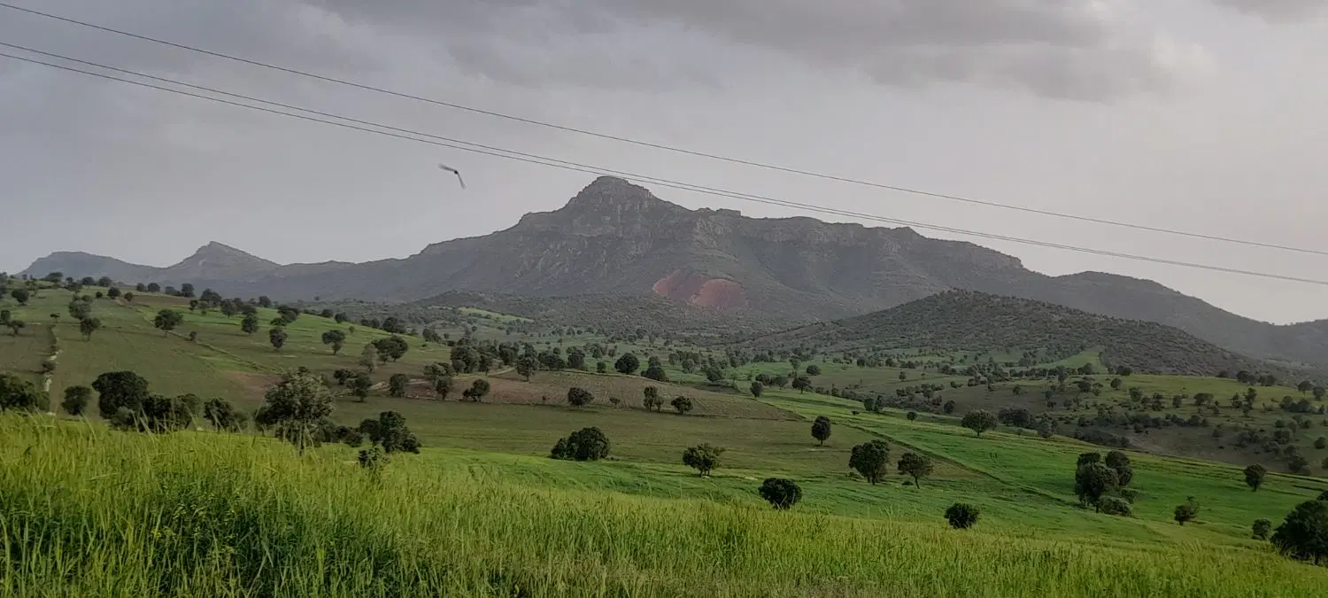 زمین ۲۰۰ متری صادقیه