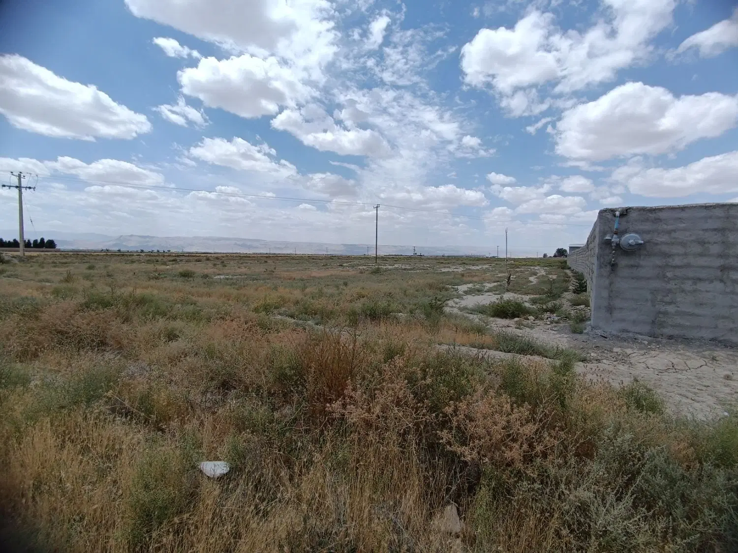 زمین کشاورزی