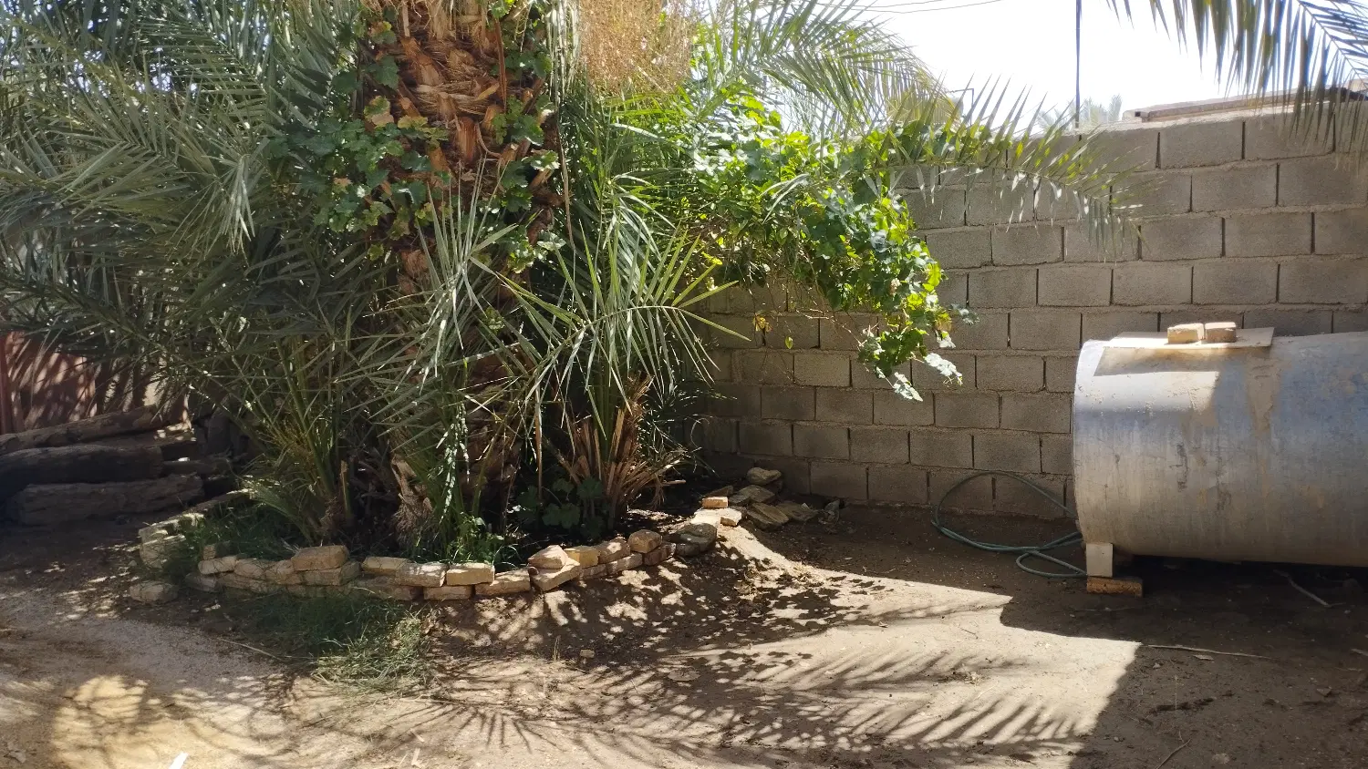 فروش زمین در ازمیغان