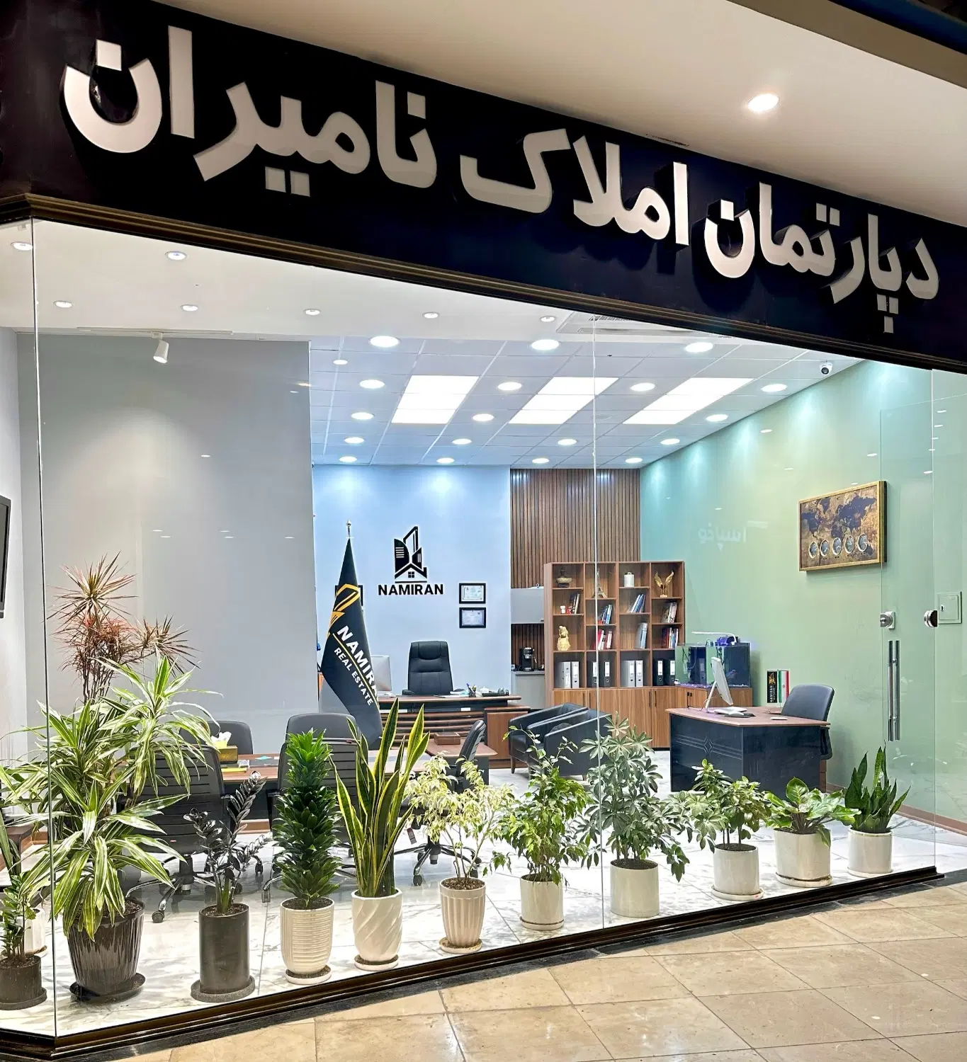 تجاری طلای سفید دور ووید