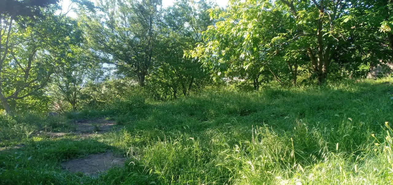 زمینی به متراژ ۳۵۰متر مسکونی  در روستای پردنگون