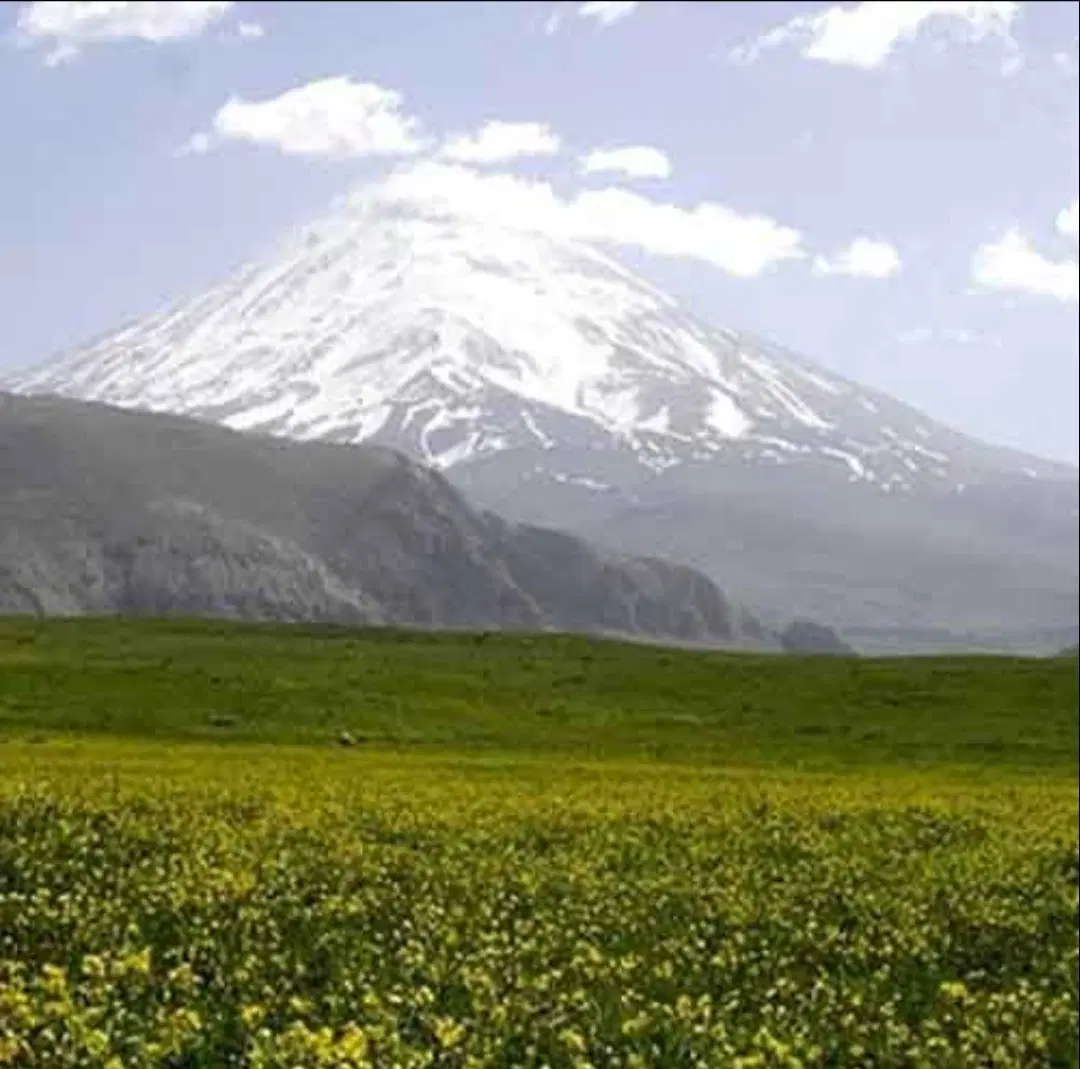 فروش یا معاوضه زمین لار با خودرو یا فروش نقدی