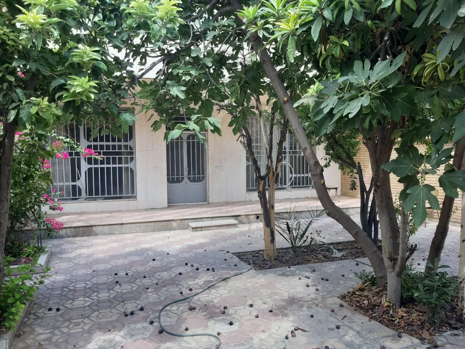 خوابگاه خلدبرین پانسیون پسرانه
