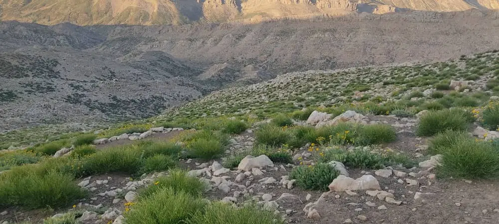 خانه