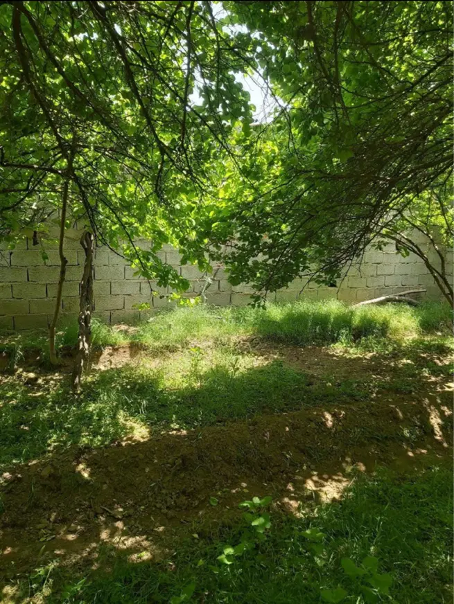 ۵۰۰ متر باغچه سند تک برگ