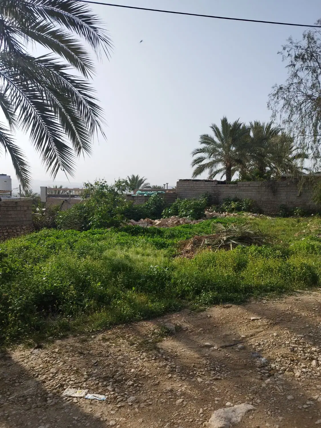 زمین مسکونی ۵۰۰متری شاپور