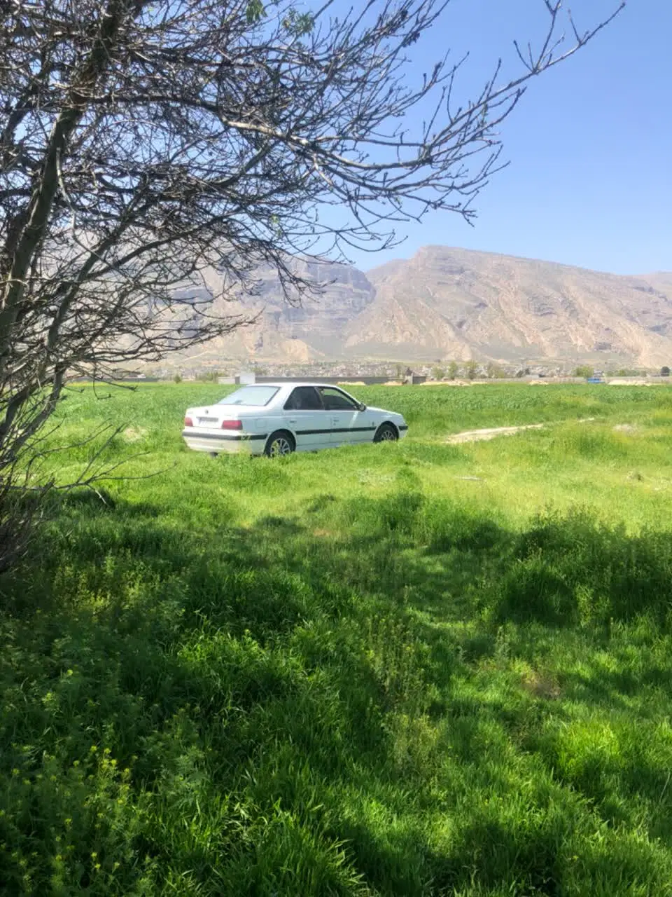 زمین