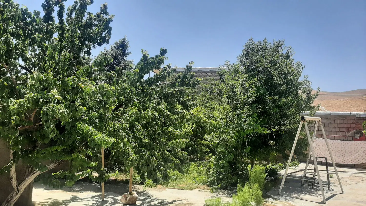 زمین خام جهت احداث باغ
