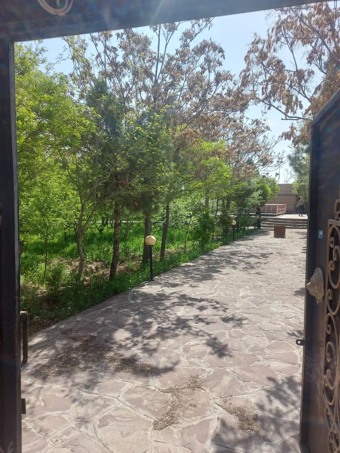 باغ ویلا ۲۵۰۰متر چناران اراضی نجم اباد