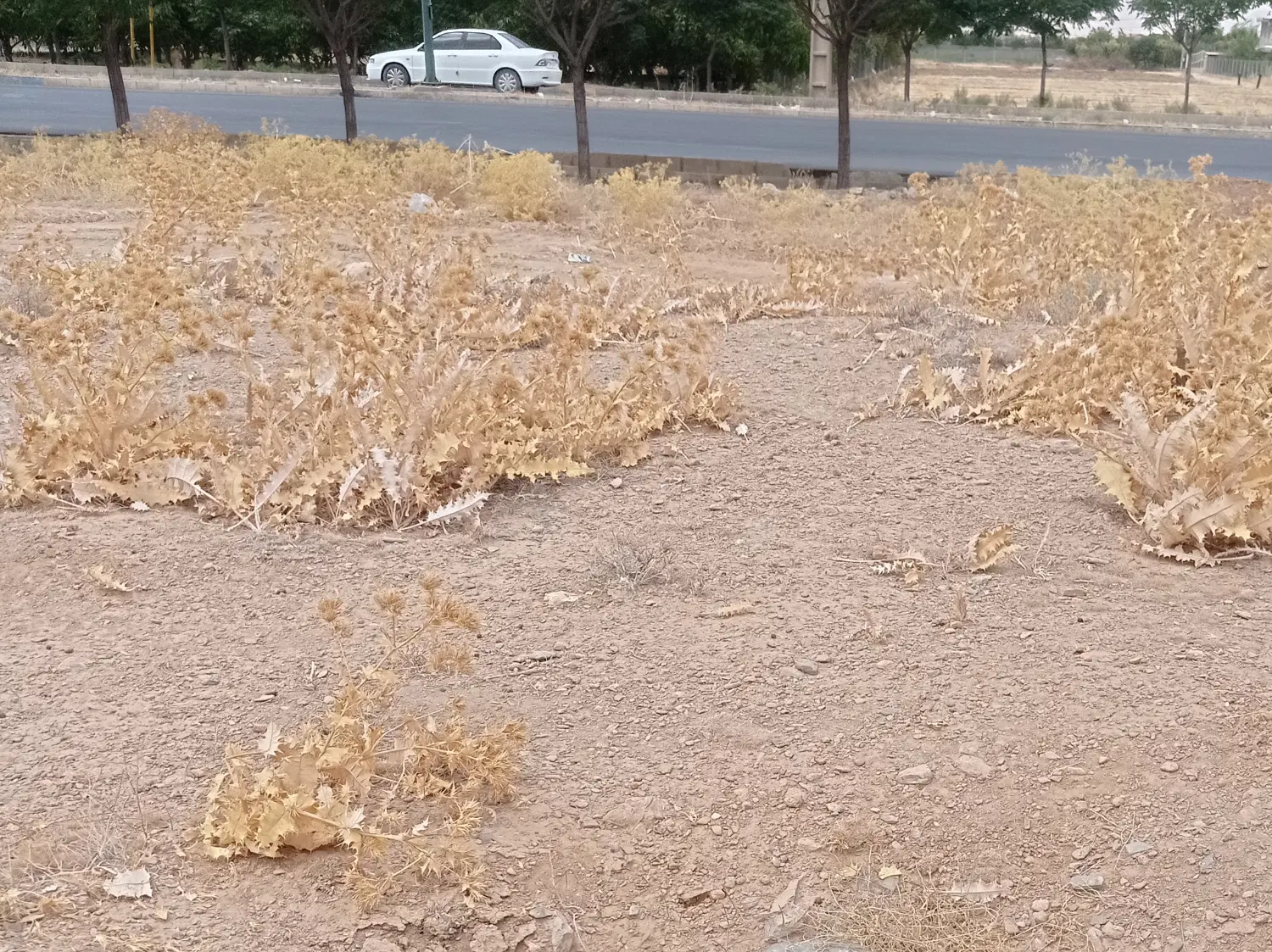فروش زمین کاربری انبار صنعتی