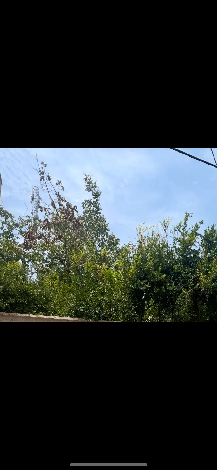 یک عدد خانه قدیمی ۷۰۰ متری دکتر حسابی صنایع