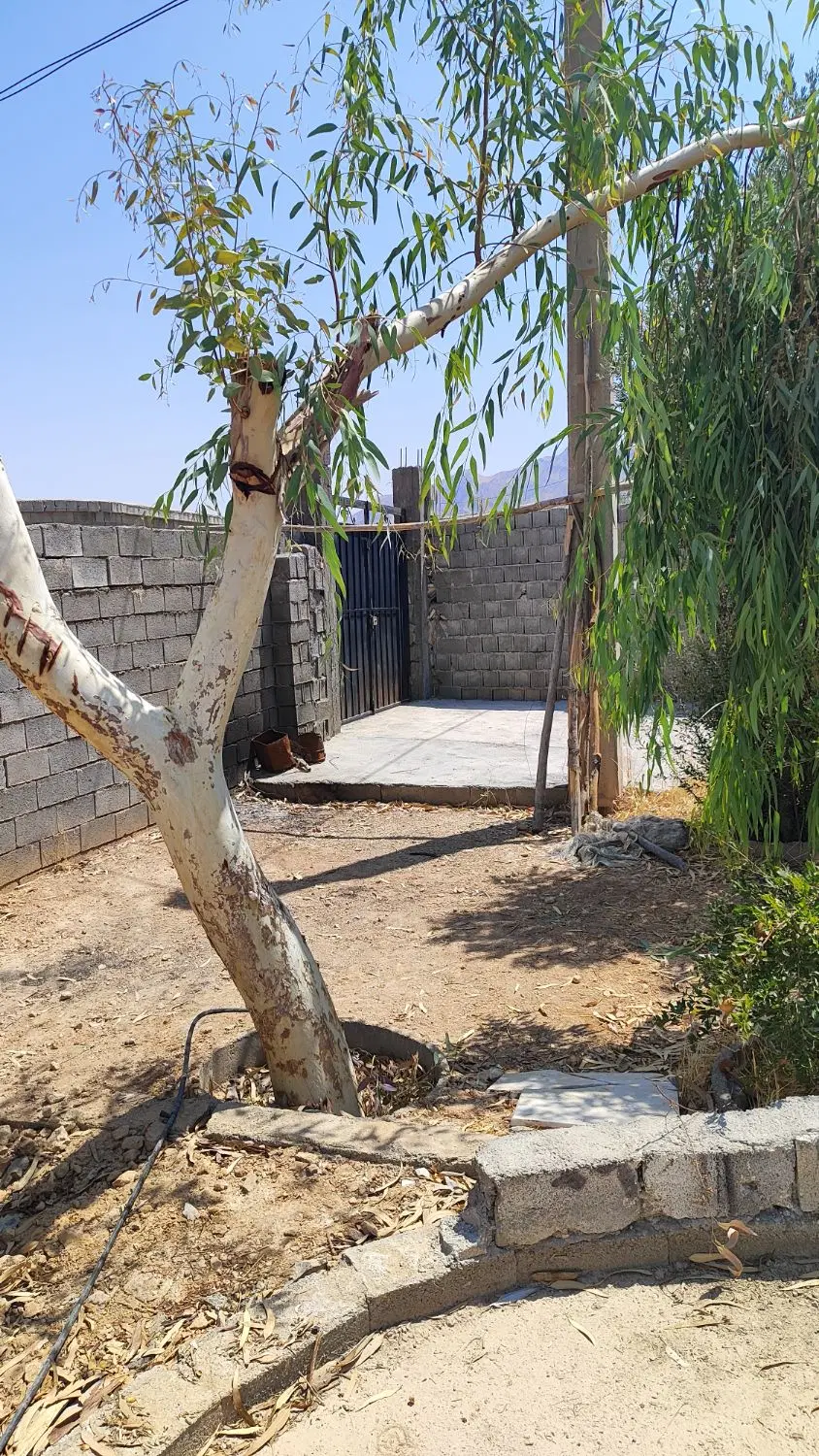 باغ شهری نشاط