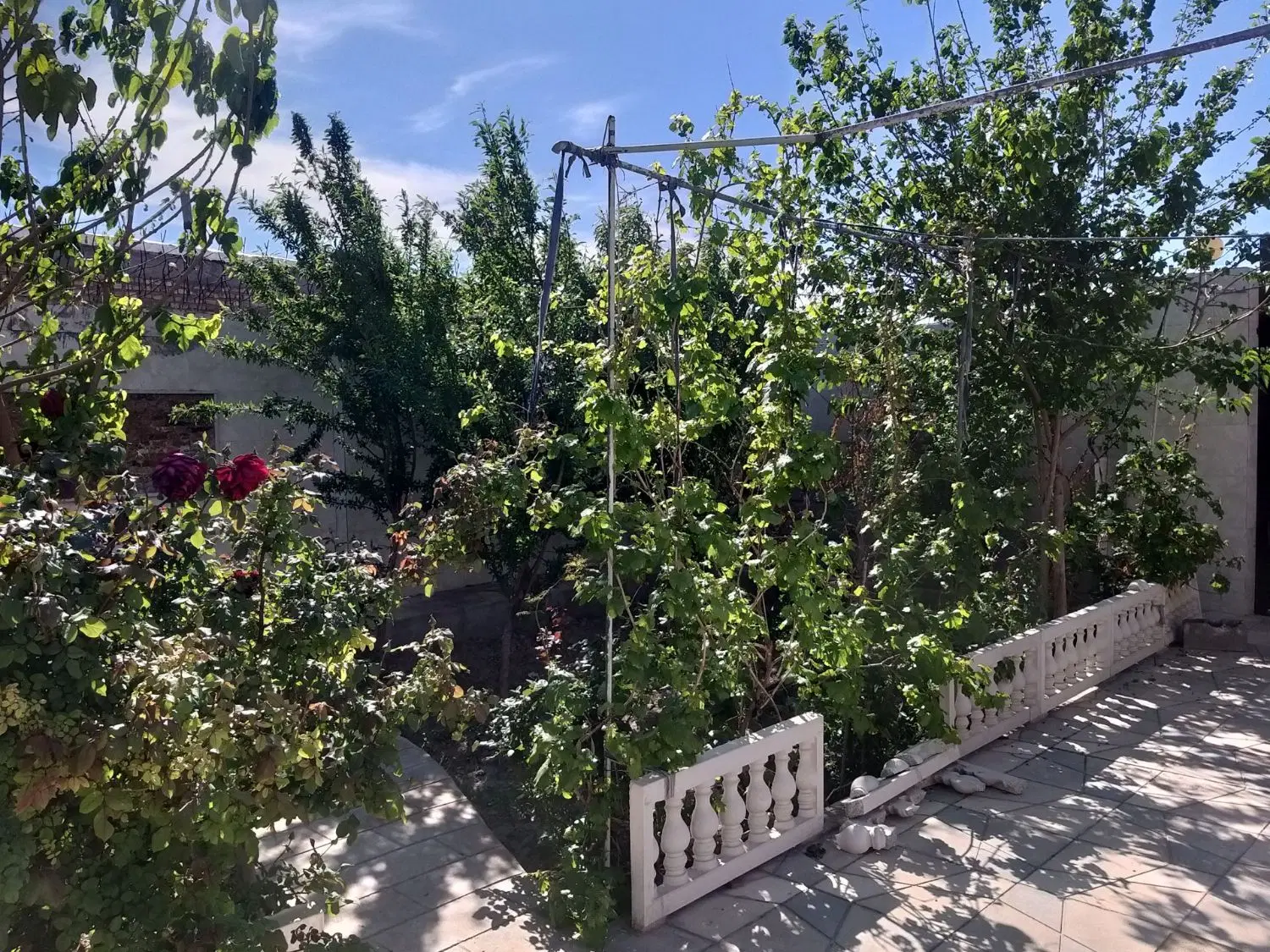 خانه باغ‌ویلای300مترفول‌امکانات