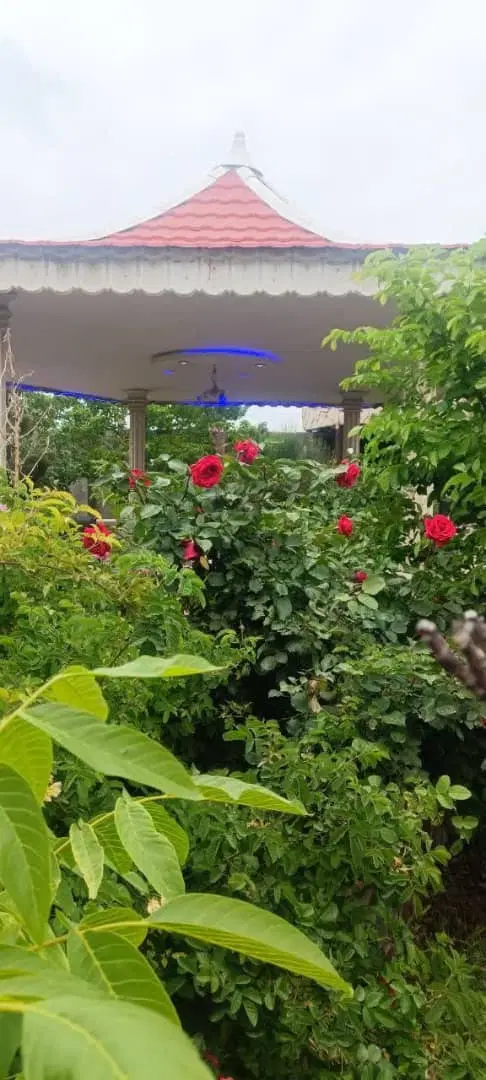 باغ ویلا جاده کاهو قبل از گلشن کاهو ۵پلاک سوم
