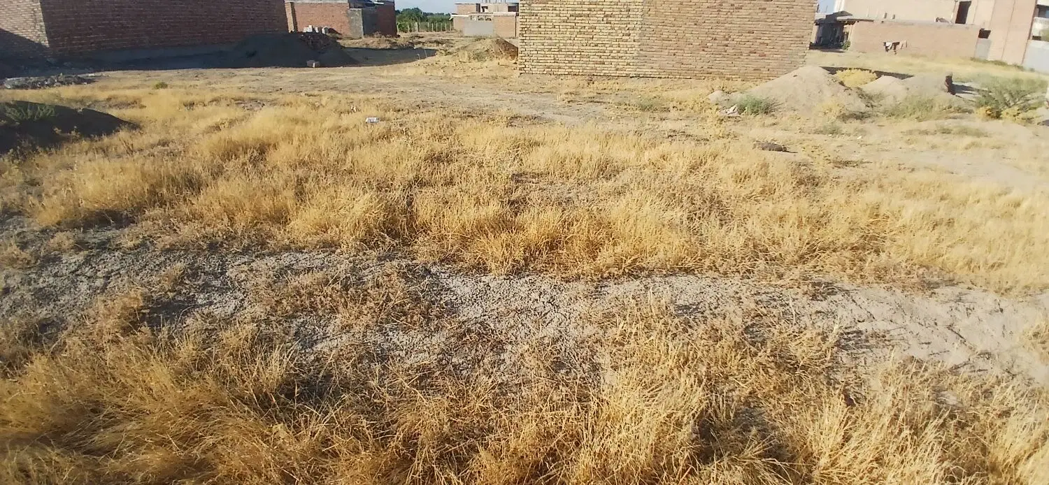 زمین