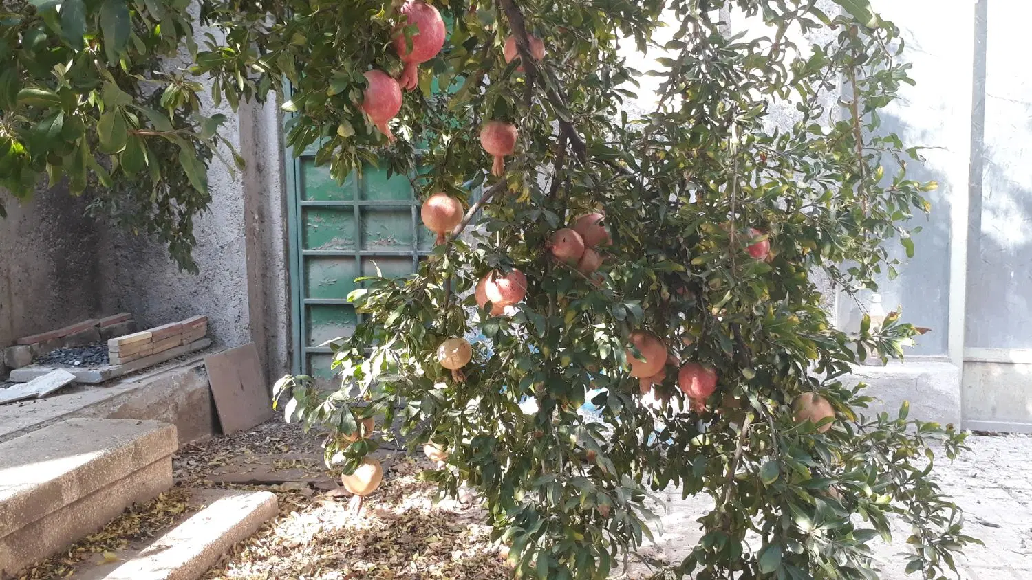 خانه ۱۰۰متری ویلای همخونه