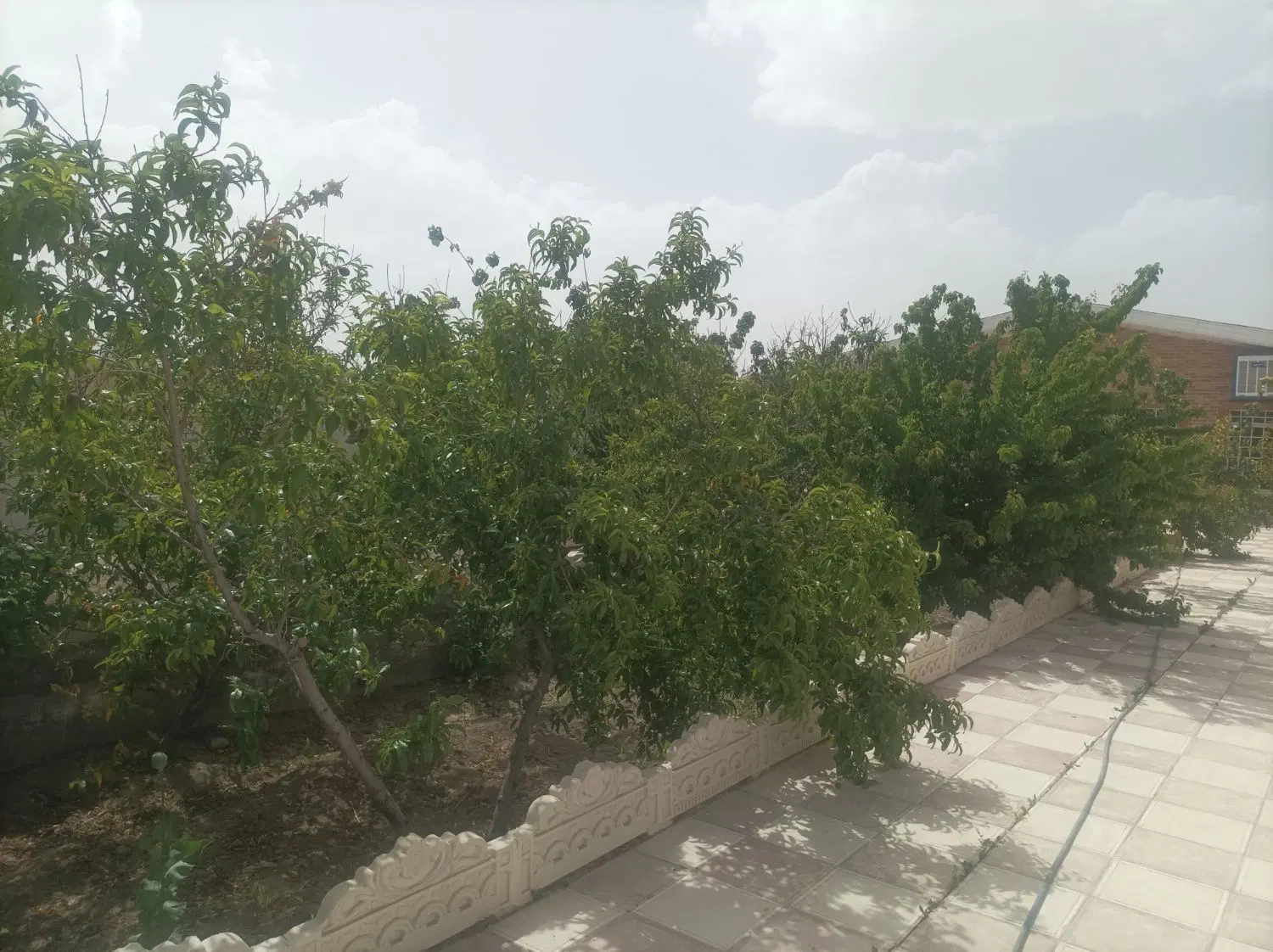 چهار دیواری