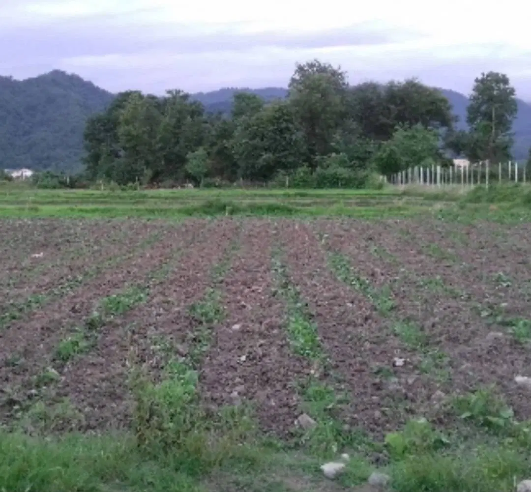 فروش ملک روستایی دنج