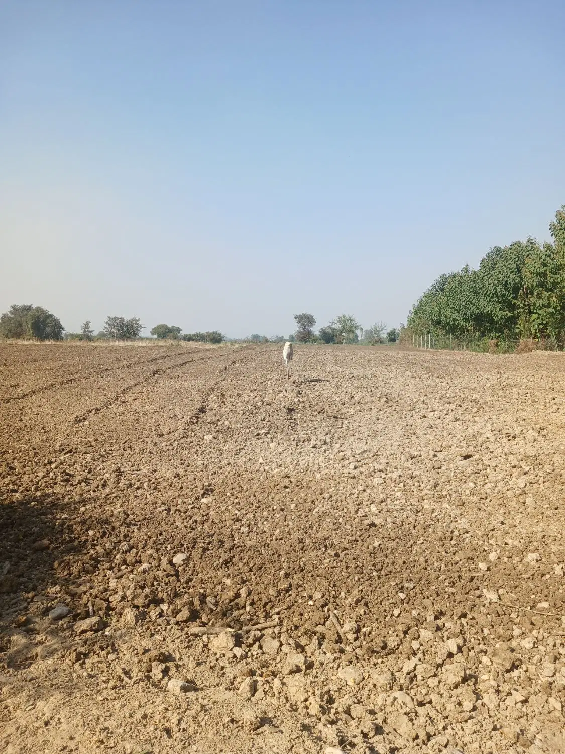 فروش زمین