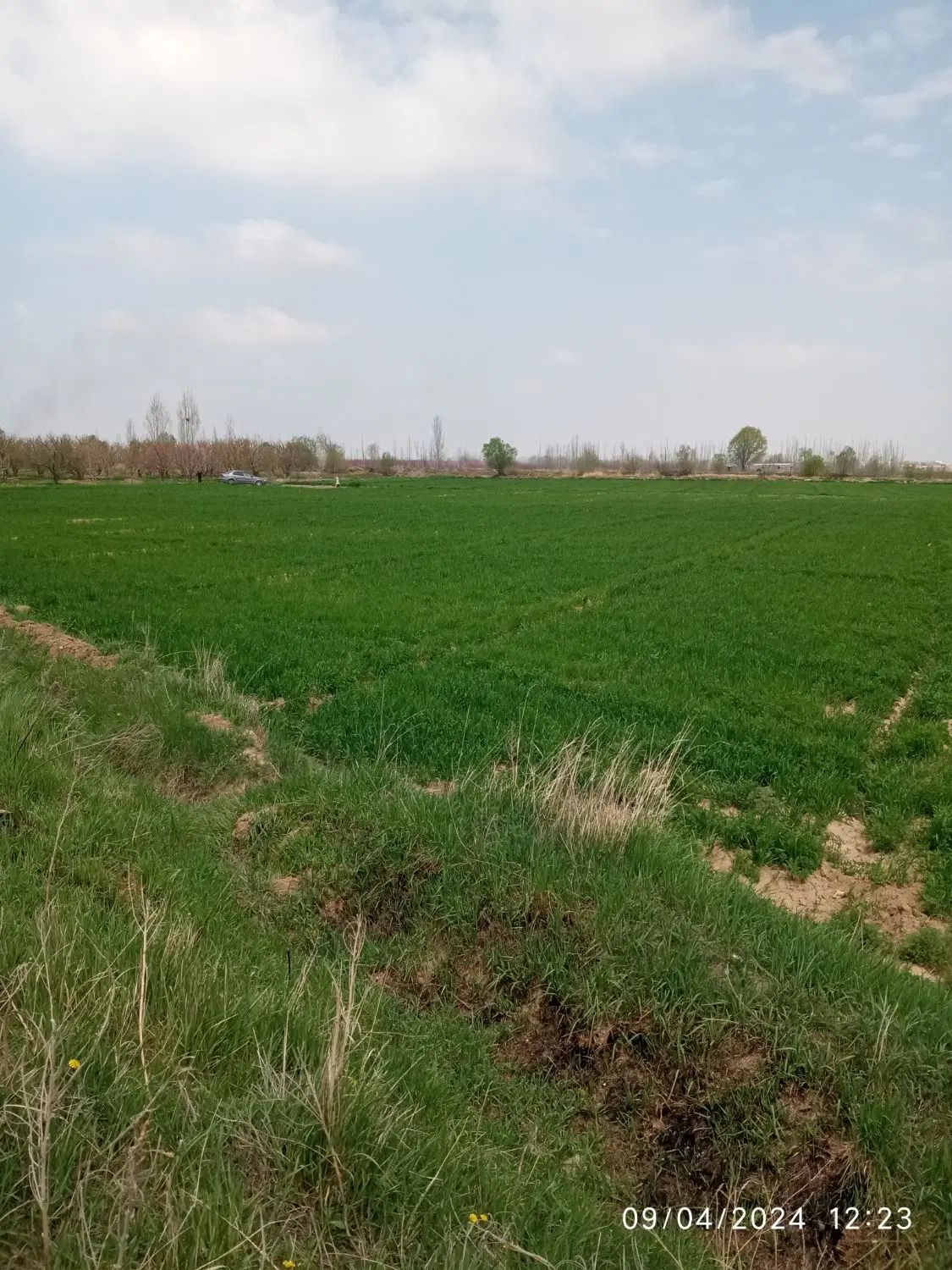 اجاره یک ساله زمین زراعی