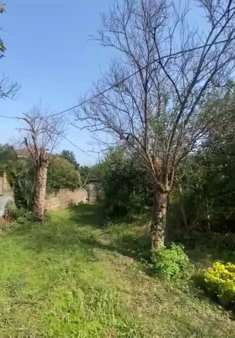 فروش خانه ۲۵۰ متری قاسم آباد علیا نزدیک چابکسر