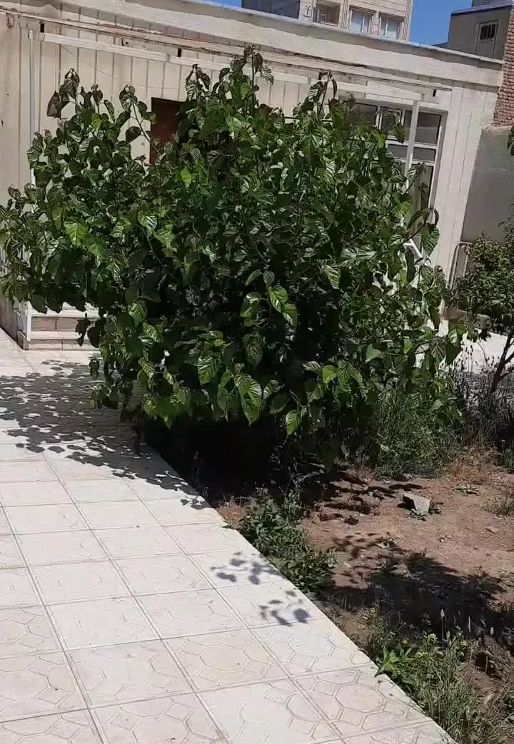 خانه ویلایی در خیابان مبارکی