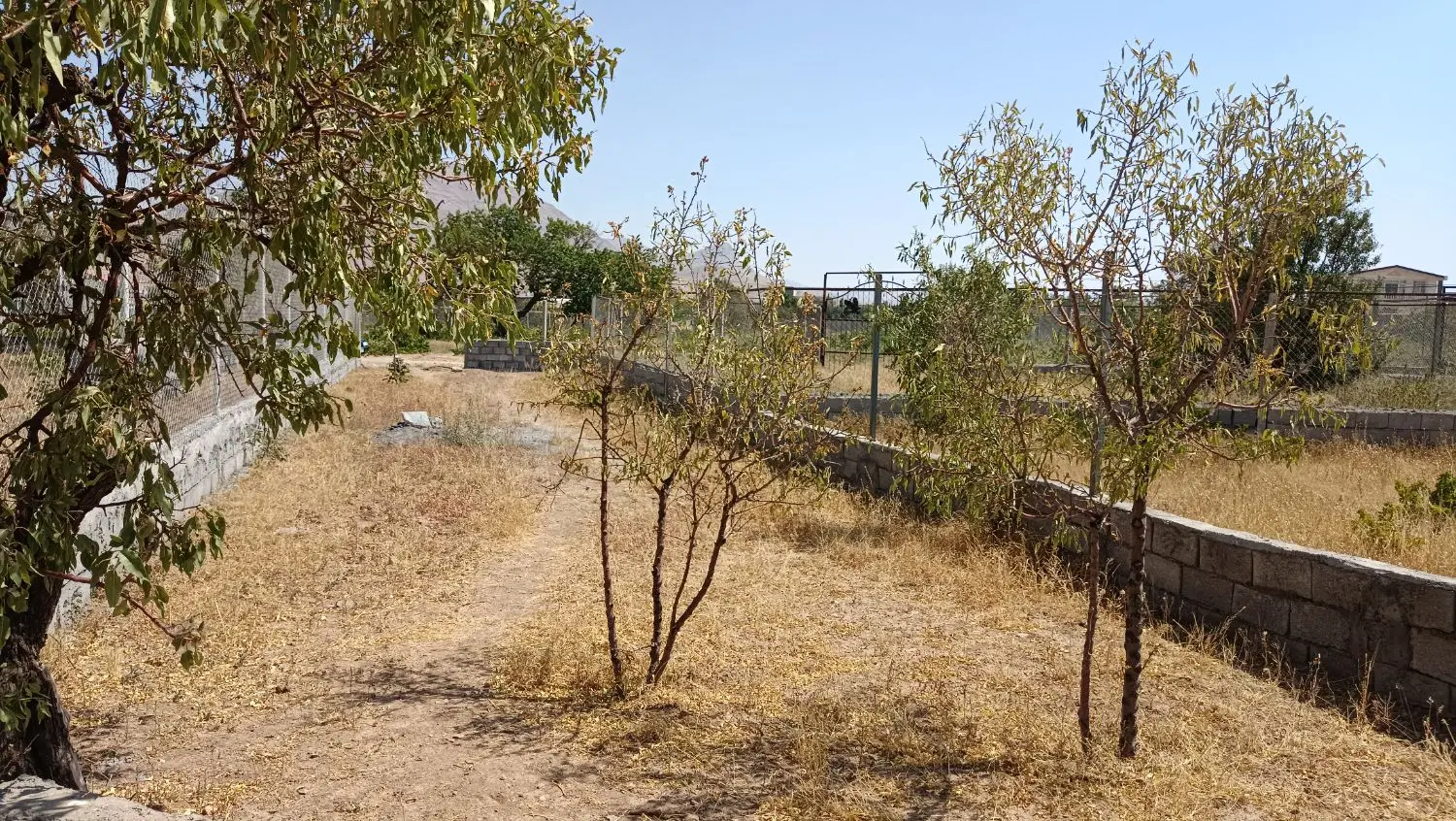 زمین باغی